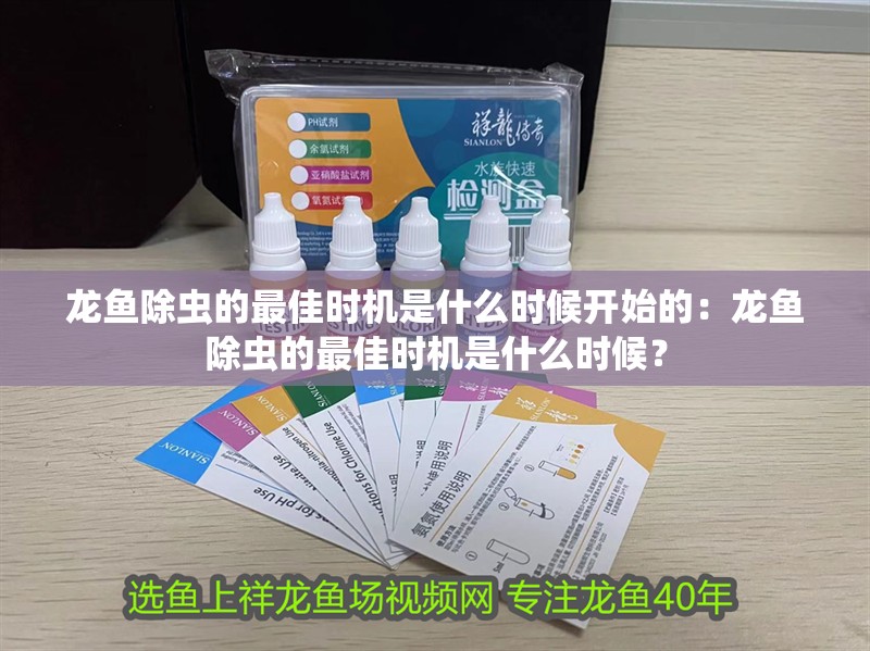 龍魚除蟲的最佳時(shí)機(jī)是什么時(shí)候開始的：龍魚除蟲的最佳時(shí)機(jī)是什么時(shí)候？