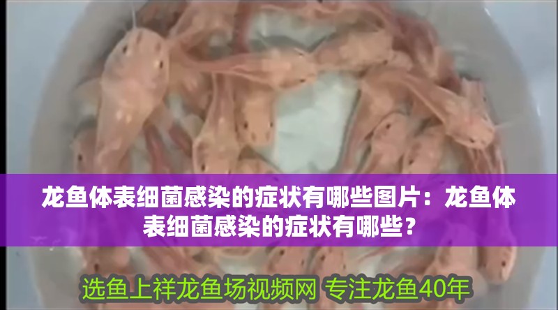 龍魚體表細菌感染的癥狀有哪些圖片：龍魚體表細菌感染的癥狀有哪些？