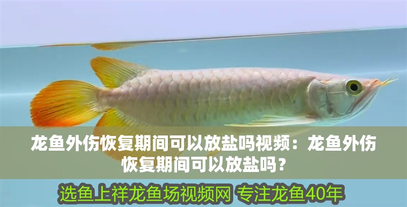 龍魚外傷恢復期間可以放鹽嗎視頻：龍魚外傷恢復期間可以放鹽嗎？