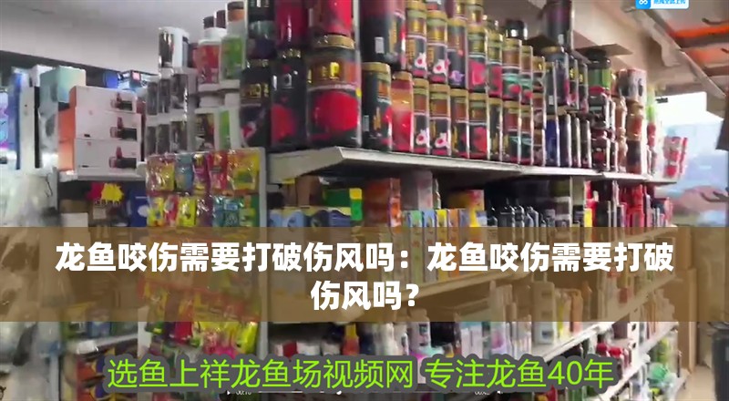 龍魚咬傷需要打破傷風嗎：龍魚咬傷需要打破傷風嗎？