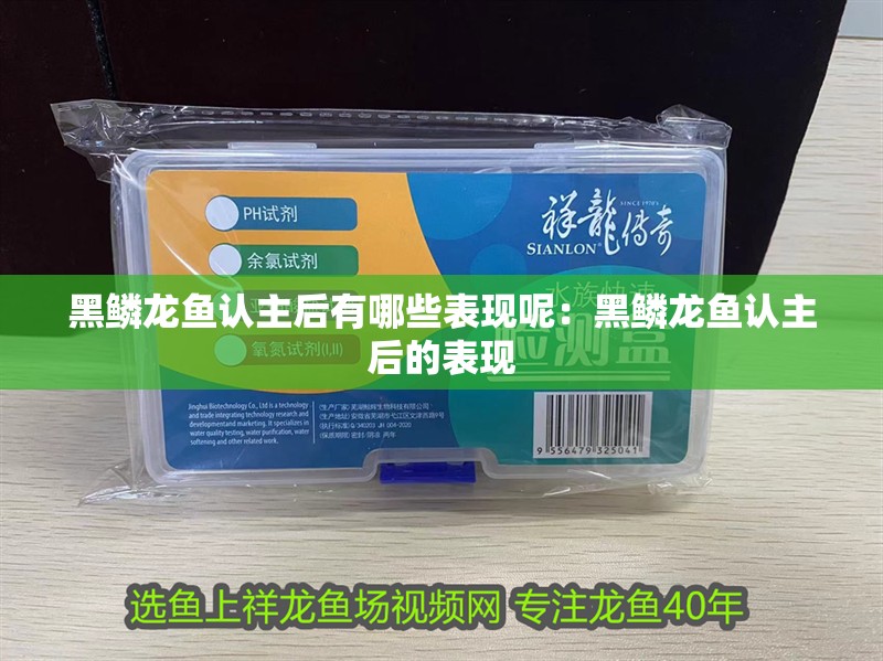 黑鱗龍魚認主后有哪些表現呢：黑鱗龍魚認主后的表現