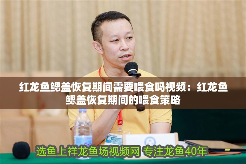紅龍魚鰓蓋恢復(fù)期間需要喂食嗎視頻：紅龍魚鰓蓋恢復(fù)期間的喂食策略