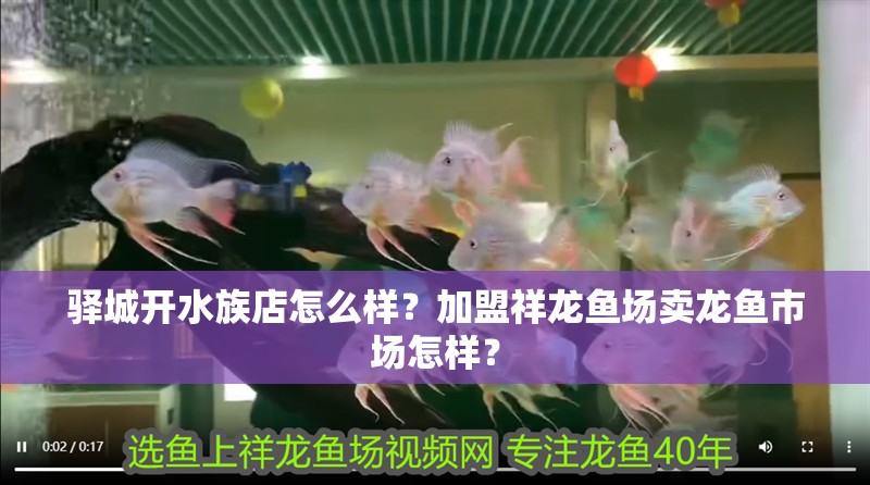 驛城開水族店怎么樣？加盟祥龍魚場賣龍魚市場怎樣？