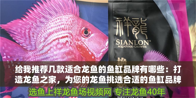 給我推薦幾款適合龍魚的魚缸品牌有哪些：打造龍魚之家，為您的龍魚挑選合適的魚缸品牌