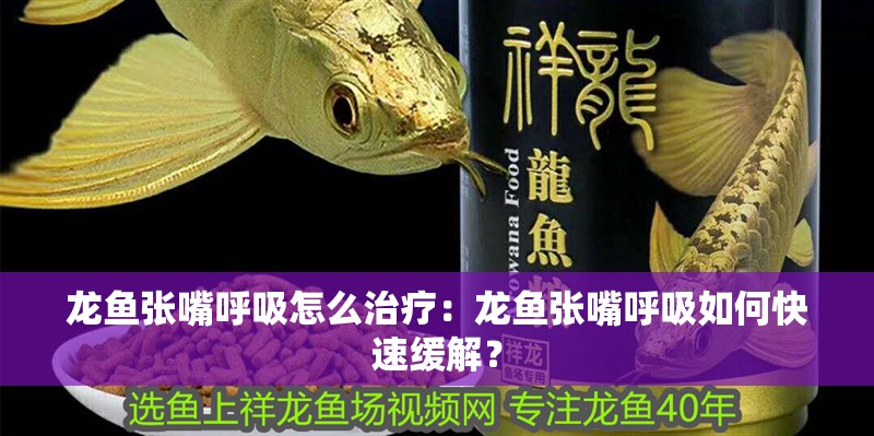 龍魚張嘴呼吸怎么治療：龍魚張嘴呼吸如何快速緩解？