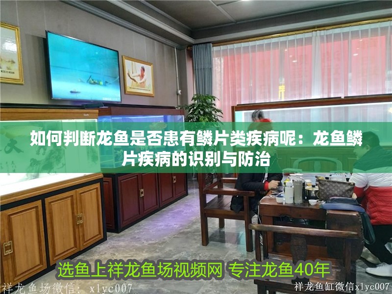 如何判斷龍魚是否患有鱗片類疾病呢：龍魚鱗片疾病的識別與防治