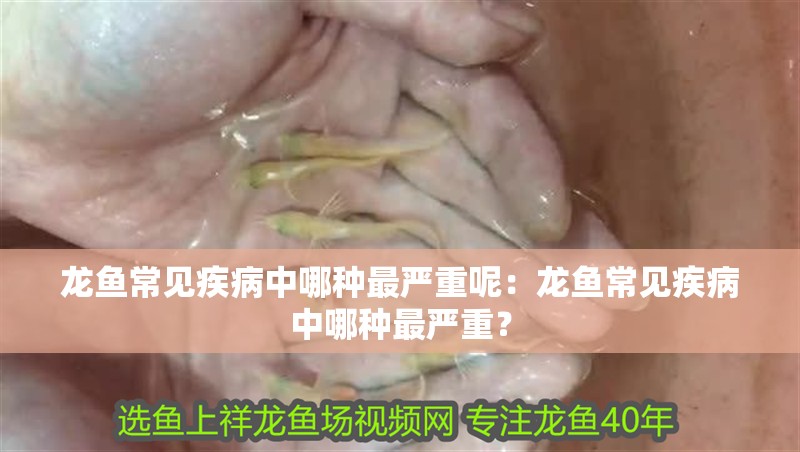 龍魚常見疾病中哪種最嚴重呢：龍魚常見疾病中哪種最嚴重？