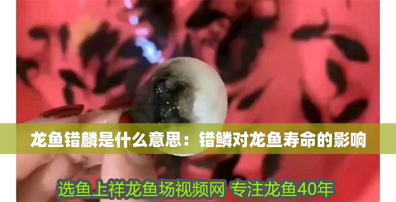 龍魚錯麟是什么意思：錯鱗對龍魚壽命的影響