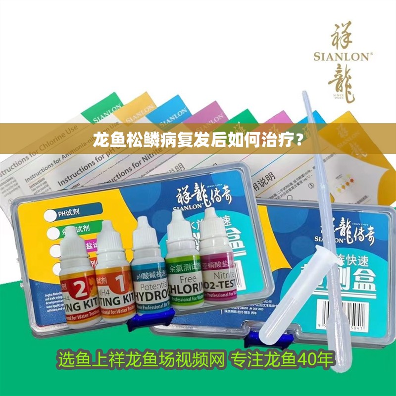 龍魚松鱗病復發后如何治療？