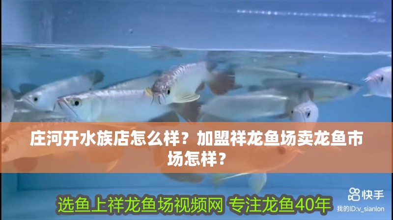 莊河開水族店怎么樣？加盟祥龍魚場賣龍魚市場怎樣？ 莊河開水族店怎么樣？加盟祥龍魚場賣龍魚市場怎樣？ 水族館百科（水族館加盟）