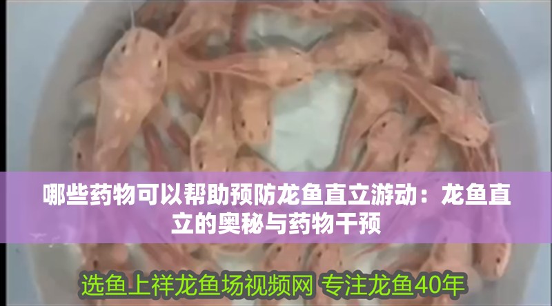 哪些藥物可以幫助預防龍魚直立游動：龍魚直立的奧秘與藥物干預