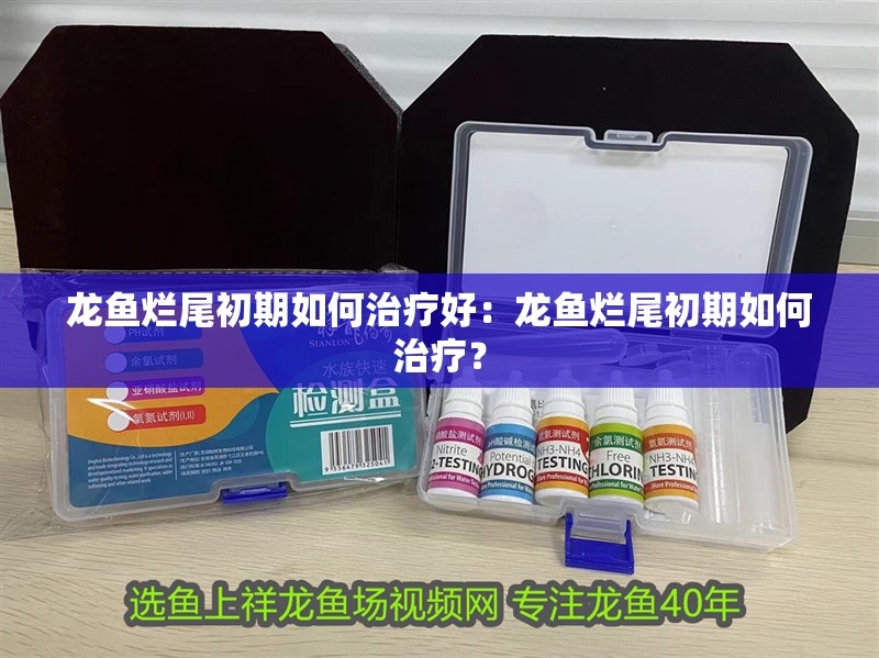 龍魚爛尾初期如何治療好：龍魚爛尾初期如何治療？