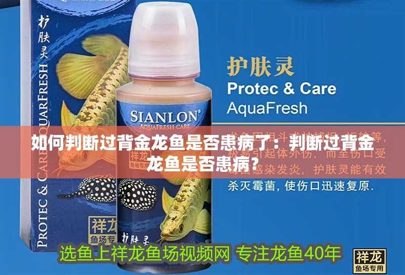 如何判斷過背金龍魚是否患病了：判斷過背金龍魚是否患病？