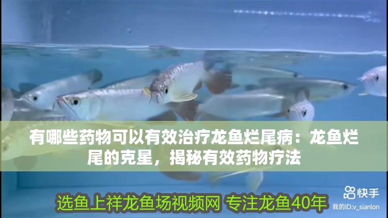 有哪些藥物可以有效治療龍魚爛尾病：龍魚爛尾的克星，揭秘有效藥物療法