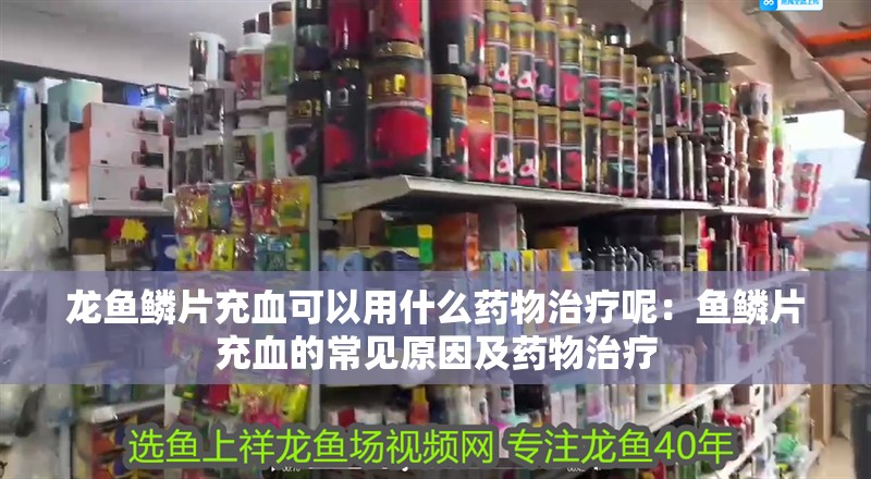 龍魚鱗片充血可以用什么藥物治療呢：魚鱗片充血的常見原因及藥物治療