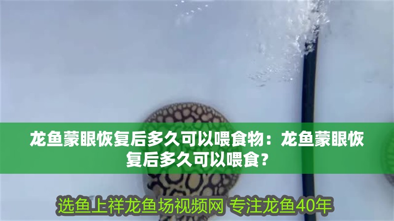 龍魚蒙眼恢復后多久可以喂食物：龍魚蒙眼恢復后多久可以喂食？