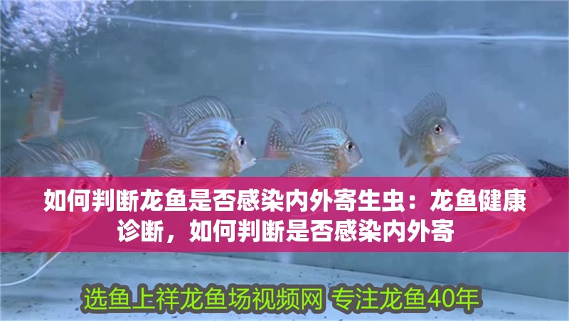 如何判斷龍魚(yú)是否感染內(nèi)外寄生蟲(chóng)：龍魚(yú)健康診斷，如何判斷是否感染內(nèi)外寄