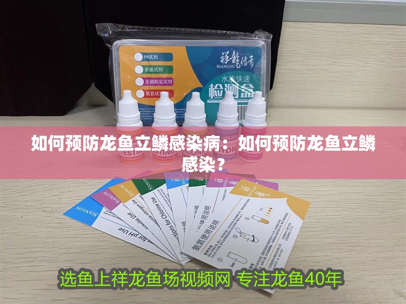 如何預(yù)防龍魚立鱗感染病：如何預(yù)防龍魚立鱗感染？