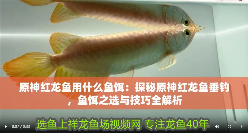 原神紅龍魚用什么魚餌：探秘原神紅龍魚垂釣，魚餌之選與技巧全解析