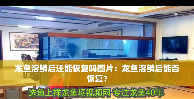 龍魚溶鱗后還能恢復(fù)嗎圖片：龍魚溶鱗后能否恢復(fù)？