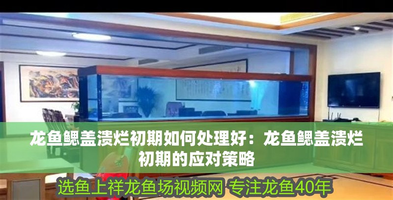 龍魚鰓蓋潰爛初期如何處理好：龍魚鰓蓋潰爛初期的應對策略