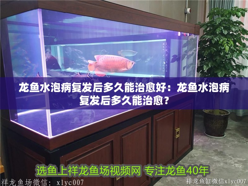 龍魚水泡病復發后多久能治愈好：龍魚水泡病復發后多久能治愈？