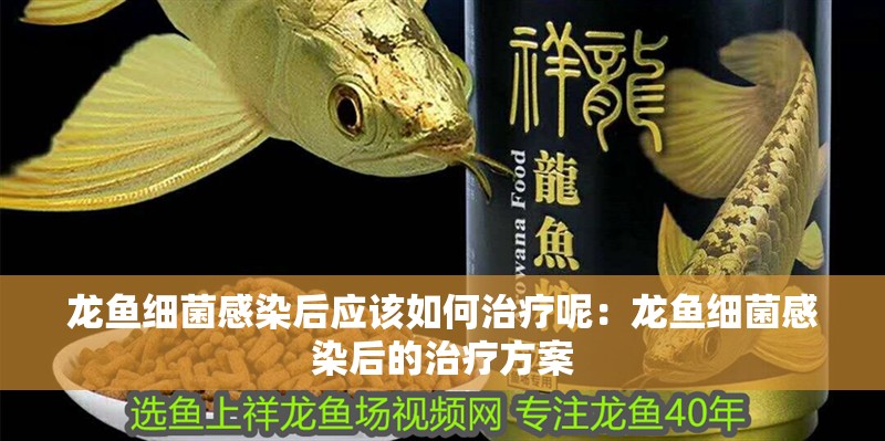 龍魚細菌感染后應該如何治療呢：龍魚細菌感染后的治療方案