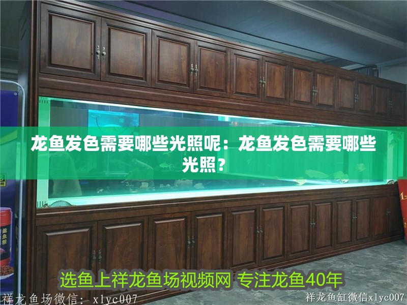 龍魚發色需要哪些光照呢：龍魚發色需要哪些光照？ 龍魚發色需要哪些光照呢：龍魚發色需要哪些光照？ 水族問答