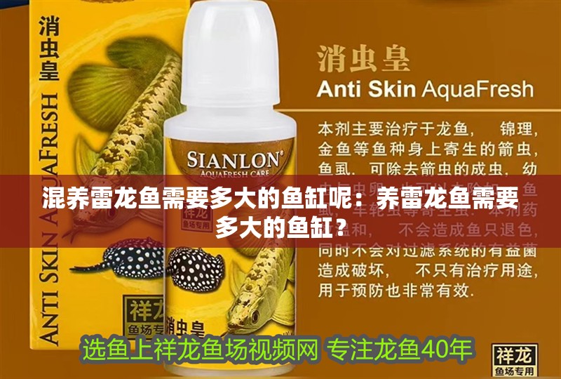 混養雷龍魚需要多大的魚缸呢：養雷龍魚需要多大的魚缸？
