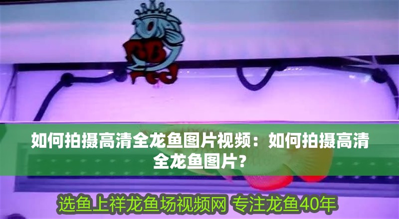 如何拍攝高清全龍魚圖片視頻：如何拍攝高清全龍魚圖片？