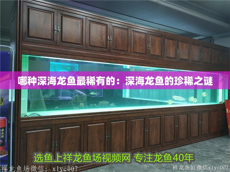 哪種深海龍魚最稀有的：深海龍魚的珍稀之謎