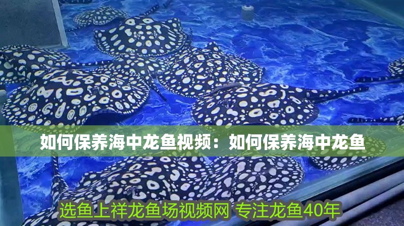 如何保養(yǎng)海中龍魚(yú)視頻：如何保養(yǎng)海中龍魚(yú)