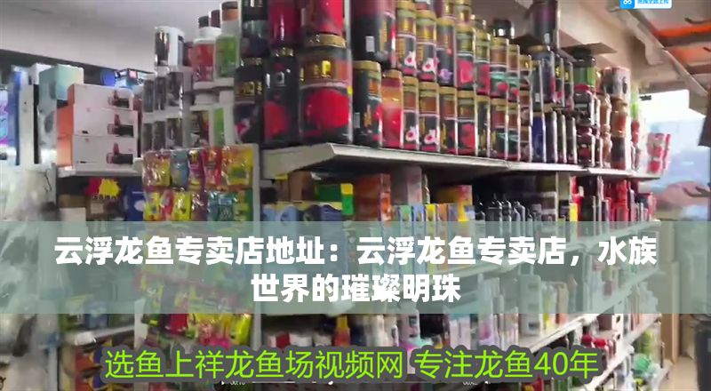 云浮龍魚專賣店地址：云浮龍魚專賣店，水族世界的璀璨明珠