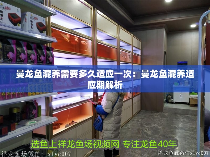 曼龍魚混養(yǎng)需要多久適應(yīng)一次：曼龍魚混養(yǎng)適應(yīng)期解析