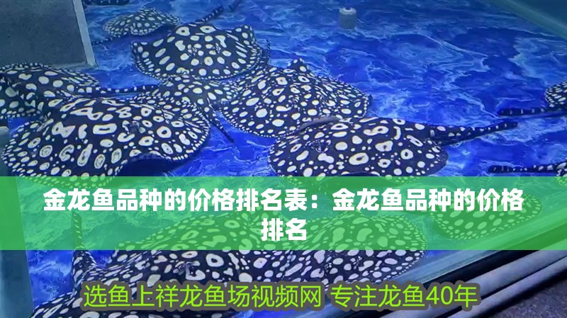 金龍魚品種的價格排名表：金龍魚品種的價格排名
