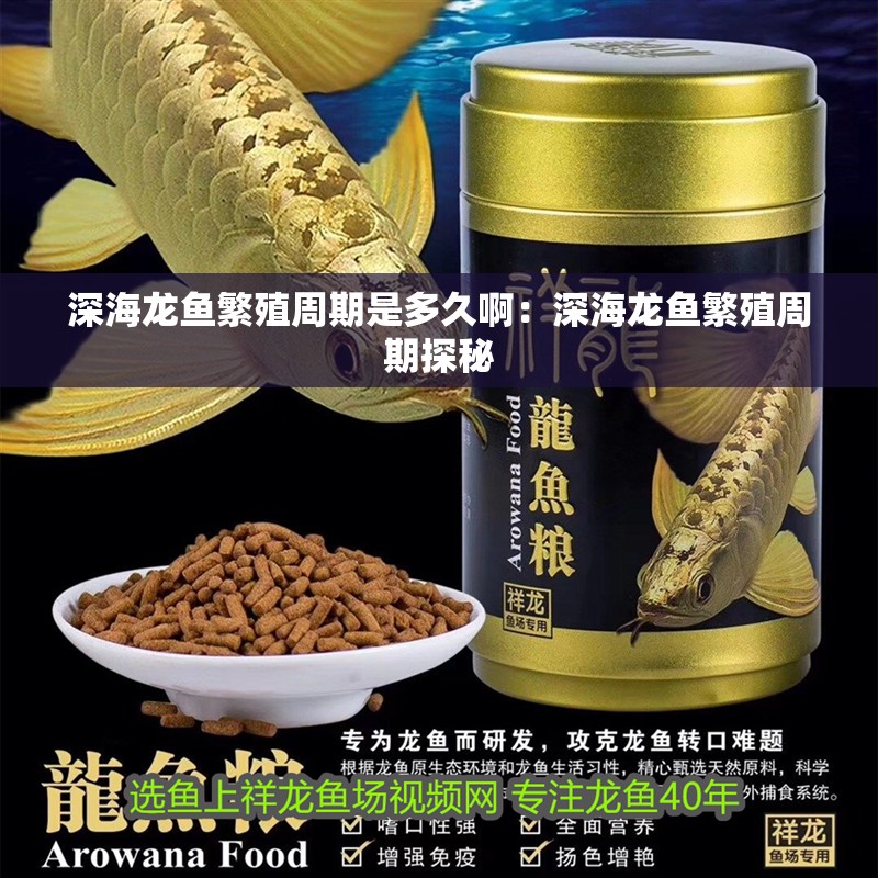 深海龍魚繁殖周期是多久啊：深海龍魚繁殖周期探秘