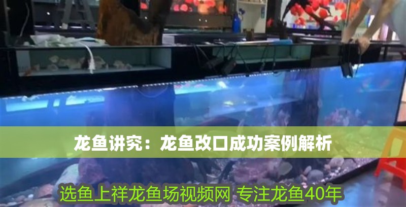 龍魚講究：龍魚改口成功案例解析