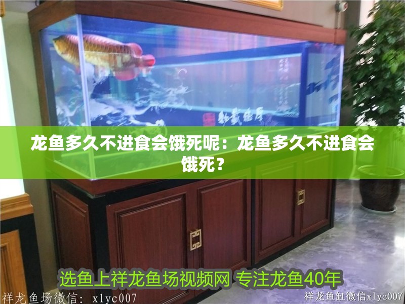 龍魚多久不進食會餓死呢：龍魚多久不進食會餓死？ 龍魚多久不進食會餓死呢：龍魚多久不進食會餓死？ 水族問答