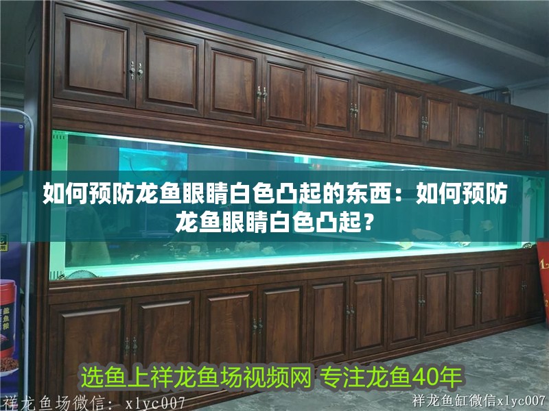 如何預防龍魚眼睛白色凸起的東西：如何預防龍魚眼睛白色凸起？