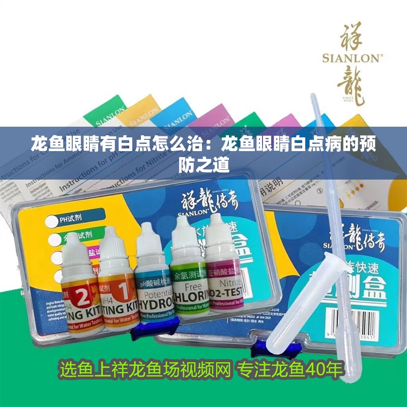 龍魚眼睛有白點(diǎn)怎么治：龍魚眼睛白點(diǎn)病的預(yù)防之道
