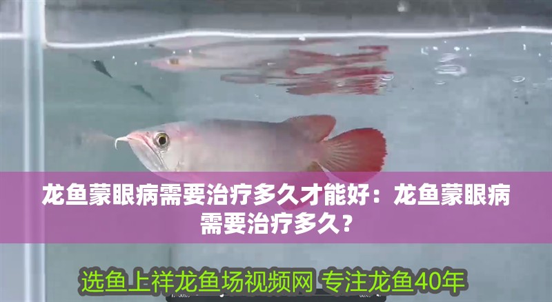 龍魚蒙眼病需要治療多久才能好：龍魚蒙眼病需要治療多久？