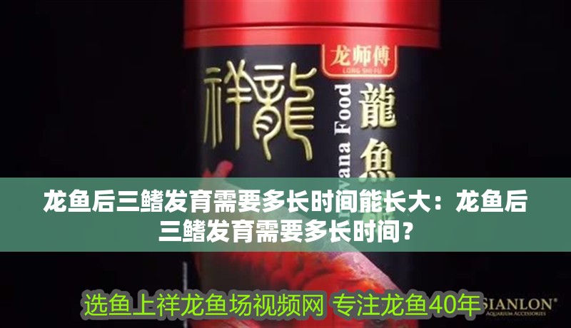 龍魚后三鰭發(fā)育需要多長(zhǎng)時(shí)間能長(zhǎng)大：龍魚后三鰭發(fā)育需要多長(zhǎng)時(shí)間？