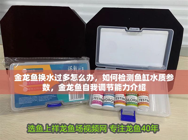 金龍魚換水過多怎么辦，如何檢測魚缸水質參數，金龍魚自我調節能力介紹