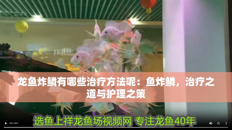 龍魚炸鱗有哪些治療方法呢：魚炸鱗，治療之道與護理之策