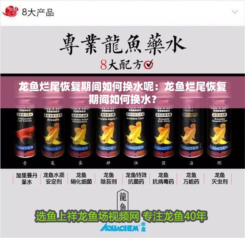 龍魚爛尾恢復期間如何換水呢：龍魚爛尾恢復期間如何換水？