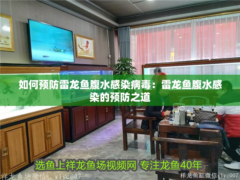 如何預防雷龍魚腹水感染病毒：雷龍魚腹水感染的預防之道