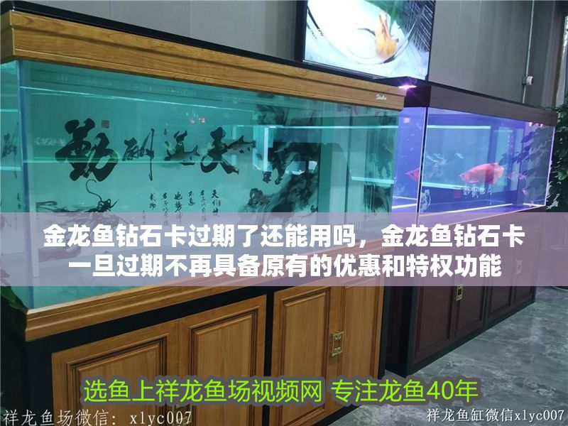 金龍魚鉆石卡過期了還能用嗎，金龍魚鉆石卡一旦過期不再具備原有的優惠和特權功能