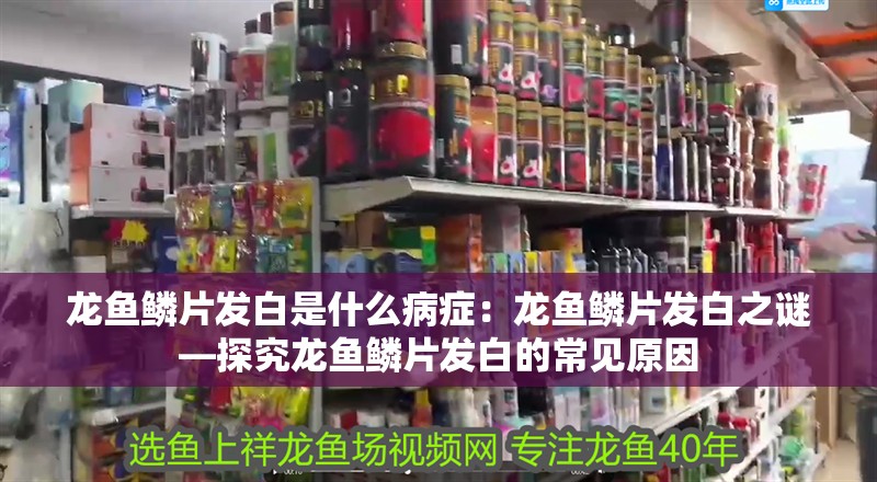 龍魚鱗片發白是什么病癥：龍魚鱗片發白之謎—探究龍魚鱗片發白的常見原因