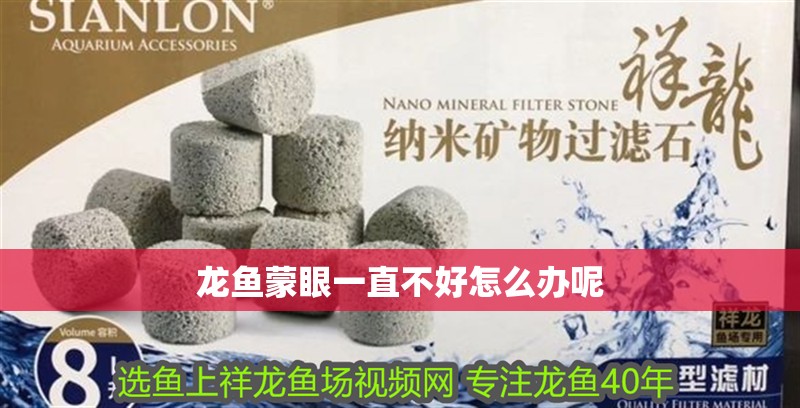 給大魚缸換水的作文:體驗(yàn)給大魚缸換水的樂趣:體驗(yàn)給大魚缸換水:給大魚缸換水的作文 龍魚蒙眼一直不好怎么辦呢 龍魚百科 龍魚蒙眼一直不好怎么辦呢 龍魚蒙眼一直不好怎么辦呢 龍魚百科