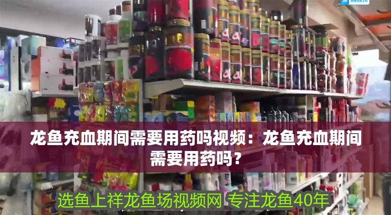 龍魚充血期間需要用藥嗎視頻：龍魚充血期間需要用藥嗎？